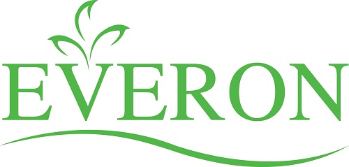 Logo thương hiệu Everon